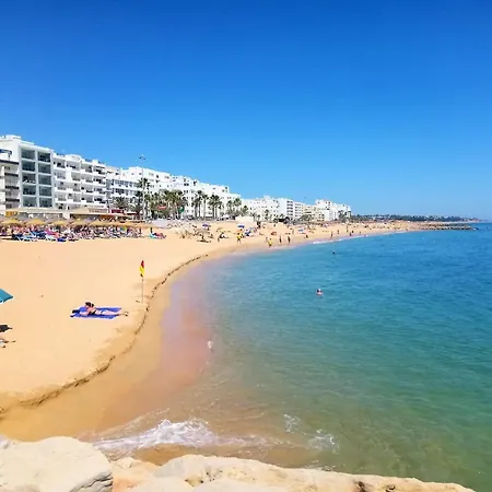 Stylish 2 By Homing * Картейра